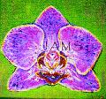 Orchid No. 1, Painting by American Nature Painter, Judith A. Maddox Saylor. Contact us on the island of Key Biscayne, Florida or Linwood, New Jersey, for incredible artwork including paintings of endangered species, nature, seascapes, and seashells.