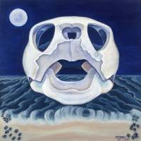 Loggerhead Turtle Skull No. 1, a painting by Ameican Nature Painter, Judith A. Maddox Saylor at JAMS Artworks.