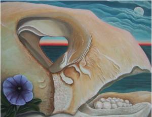 Loggerhead Turtle Skull No. 2, a painting by American Nature Painter, Judith A. Maddox Saylor at JAMS Artworks.