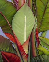 Heliconia No. 4 Painting by American Nature Painter, Judith A. Maddox Saylor. Heliconia No. 4 Painting by American Nature Painter, Judith A. Maddox Saylor.