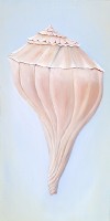 Sea Shell Series No. 7, a painting by American Nature Painter, Judith A. Maddox Saylor at JAMS Artworks.