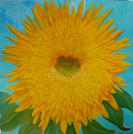 Teddybear Sunflower, No. 3