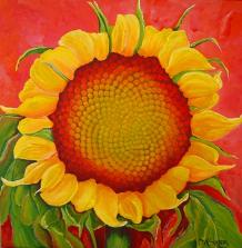 FibSunflower<No.3_AmericanNaturePainter,JAMSaylor FibSunflower<No.3_AmericanNaturePainter,JAMSaylor