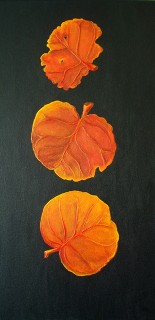ThreeOldSeaGrapeLeaves_JAMSaylor ThreeOldSeaGrapeLeaves_JAMSaylor